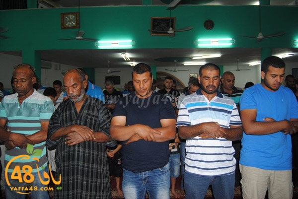 trawe7 zatona (3).JPG